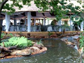 Silverbirch @ Birchwood Hotel OR Tambo