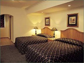 Silverbirch @ Birchwood Hotel OR Tambo