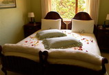 Bradclin House, Guest House with 3 Self-Catering Suites, Pinelands, Cape Town, South Africa