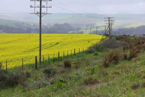 Bredasdorp, Overberg, South Africa