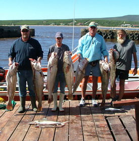 The Breede River Resort and Fishing Lodge