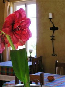 Bucaco Sud Guest House