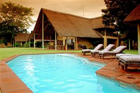 Buckler's Africa
