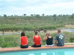 Buckler's Africa