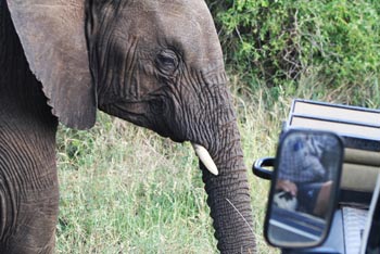 Buhala Game Lodge - click for larger image
