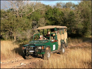 Bushwise Safari Lodge