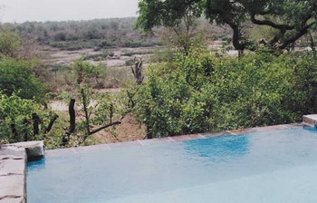 Bushwise Safari Lodge