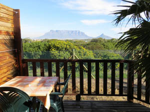 Cape Oasis Guesthouse