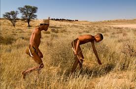 Kgalagadi Transfrontier Park