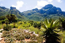 Newlands views - Cape Town