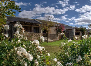 Oewerzicht Farm Cottages