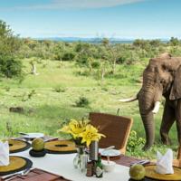 Royal Madikwe Luxury Safari Lodge