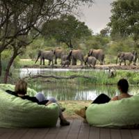 Tanda Tula Safari Camp