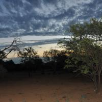Thorntree Lodge