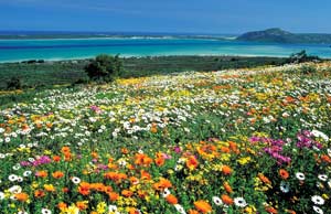 West Coast  South African Tourism