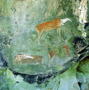 San Rock Art