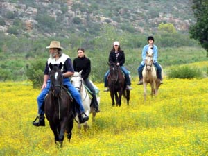 Horse riding in Cedarberg - Karukareb Lodge
