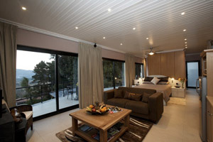 The Vista Apartment
