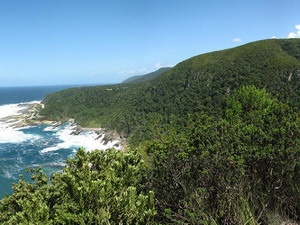 Coral Tree Cottages