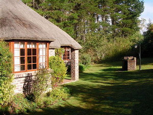 Coral Tree Cottages