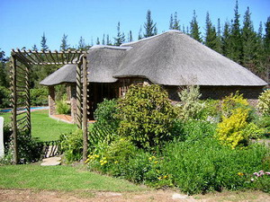 Coral Tree Cottages