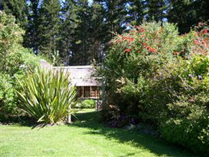 Coral Tree Cottages