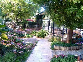 Cosy Cottage Bed and Breakfast/Self-Catering