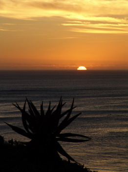 Crayfish Lodge Sea & Country Guest House, Gansbaai, Western Cape, South Africa - click for larger image