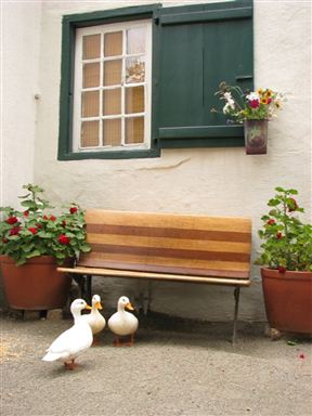 Cypress Cottage