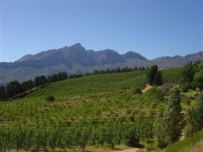 Dreamcatcher Tulbagh