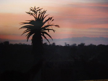 Du Bois Lodge, near Kruger National Park