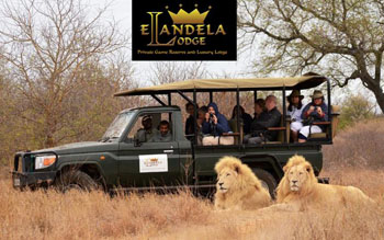 Elandela Private Game Reserve and Luxury Lodge