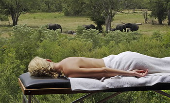 Elephant Plains Game Lodge in Sabi Sand Wildtuin, Kruger National Park, South Africa