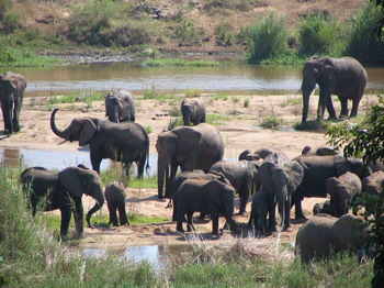 Elephant Walk Retreat, Crocodile Bridge Gate