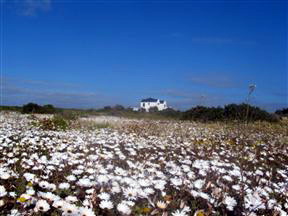 Farr Out Guest House