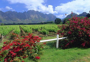Franschhoek