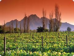 Franschhoek
