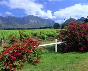 Franschhoek, Cape Winelands, South Africa