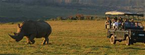 Garden Route Game Lodge