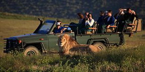 Garden Route Game Lodge