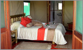Gomo Gomo Game Lodge