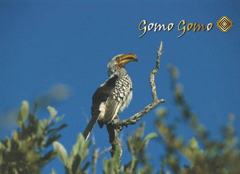 Gomo Gomo Game Lodge