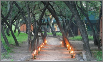 Gomo Gomo Game Lodge
