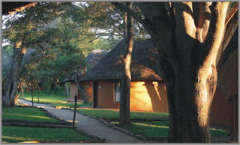 Gomo Gomo Game Lodge
