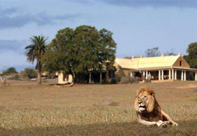 Gorah Elephant Camp, Addo