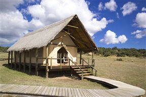 Gorah Elephant Camp, Addo