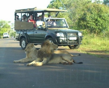 Grand Kruger Lodge in the Kruger National Park of South Africa