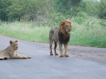 Grand Kruger Lodge in the Kruger National Park of South Africa