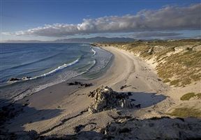 Grootbos Nature Reserve - near Gansbaai