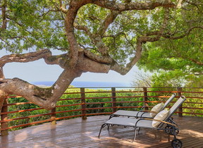 Grootbos Nature Reserve - near Gansbaai